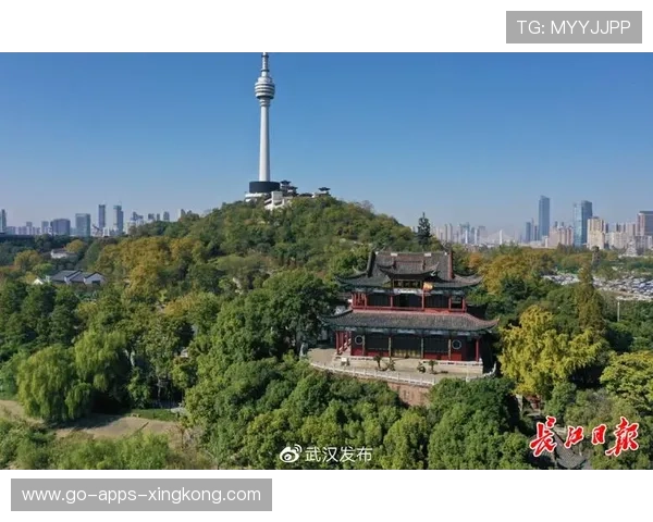 武汉三镇外线扭转能力十分强大 武汉三镇外线扭转能力十分强大